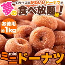 【ネット販売限定商品】みんな大好き!一口サイズのドーナツが夢の食べ放題級!!ミニドーナツ1kg(250g×4袋)【MSS】【P2B】