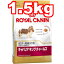 ○ROYAL CANIN/ロイヤルカナン【キャバリアキングチャールズ/成犬・高齢犬用/1.5kg】【生後10ヶ月以上】
