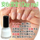 シンナー臭くなく手軽に爪がツヤツヤ!やさしいワンデイネイル【お試し4ml】胡粉ネイル・キッズネイル【透明トップコート】【RCP】