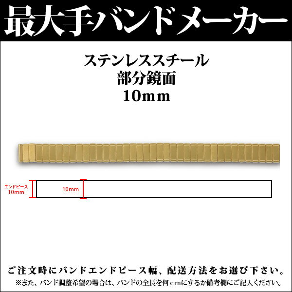 【メール便対応】日本最大手腕時計バンドメーカーバンビ社婦人用ステンレススチール部分鏡面伸縮バンド(バンド調整可)10mmG5063BSS【RCPmara1207】腕時計バンド