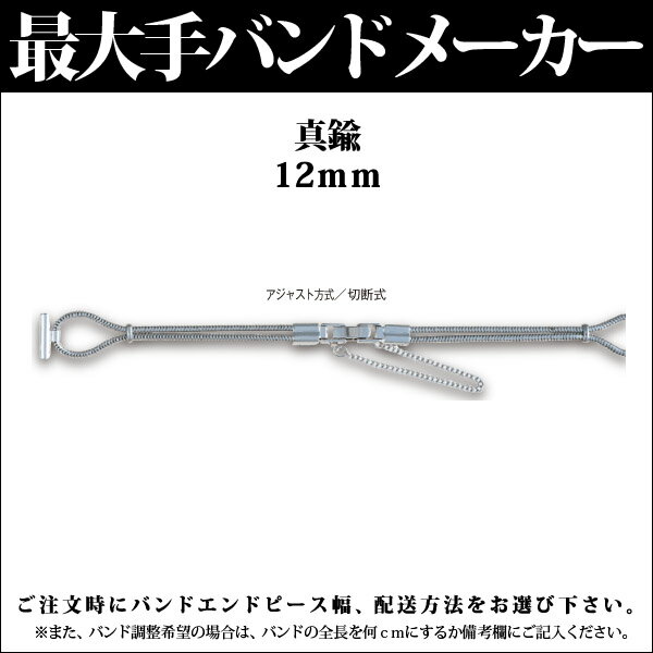 【メール便対応】日本最大手腕時計バンドメーカーバンビ社婦人用真鍮12mmR8299BBN【RCPmara1207】