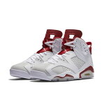 NIKE(ナイキ) AIR JORDAN 6 RETRO エアジョーダン6 レトロ 384664-113 SP17 113WT/GRED