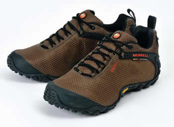 レディース【MERRELL】メレル トレッキングシューズ WMNS CHAMELEON 2 STORM GTX XCR ウィメンズ カメレオン 2 ストーム ゴアテックス XCR 588726 ブラウン ≪ABC-MART SMUカラー≫ GUNSMOKE /ABCマート楽天市場店