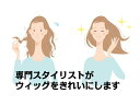 【スーパーSALE50%割引】【ウィッグ かつら製品のリセッ...