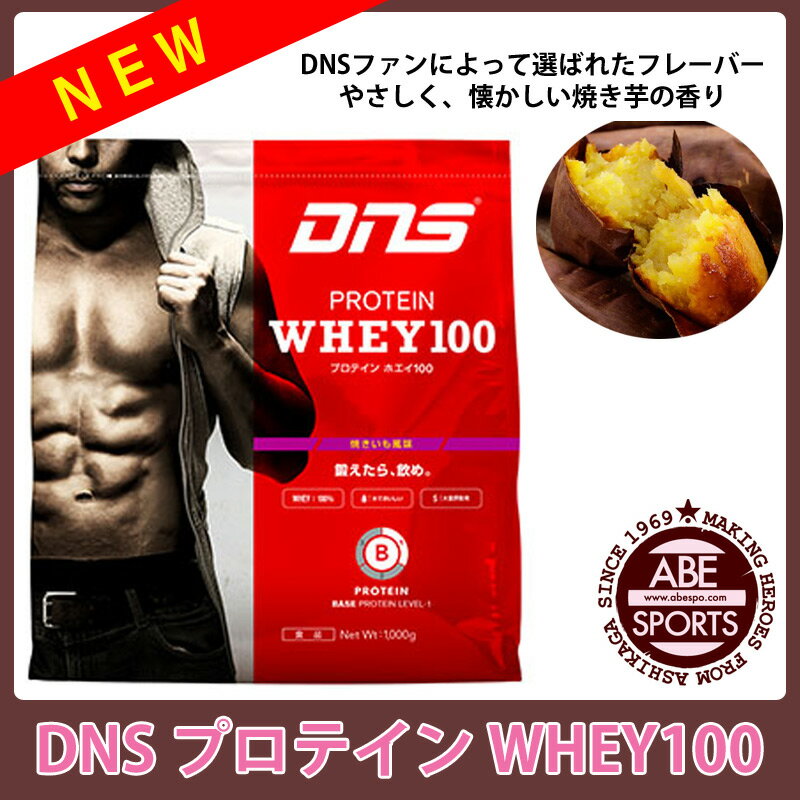 【DNS】Protein Whey 100 350g プロテイン/ホエイ/筋肉/トレーニング/ホエイプロテイン/350g (WHEY100)
