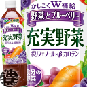 『送料無料!』(北海道・沖縄・離島は除く)伊藤園 充実野菜 ブルーベリーミックス 930mlペットボトル(12本入り1ケース)野菜ジュース 野菜とブルーベリー※ご注文いただいてから4日〜14日の間に発送いたします。/uy/