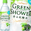 (数量限定!特売!!)ポッカサッポロ グリーンシャワー スパークリング 香る炭酸水 500mlペットボトル(24本入り1ケース)ソーダ 無糖炭酸水 (数量限定!特売!!)ポッカサッポロ グリーンシャワー スパークリング 香る炭酸水 500mlペットボトル(24本入り1ケース)ソーダ 無糖炭酸水