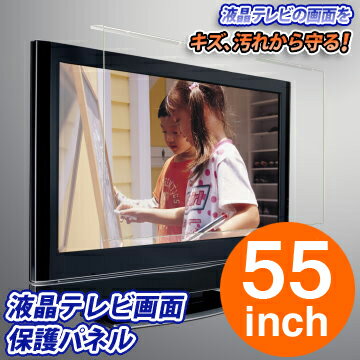 液晶 テレビ 用 画面 保護 パネル 55型：液晶 テレビ 用 - 55-ACE-AG