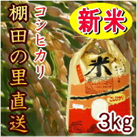 兵庫県多可郡産23年度産新米！棚田の里直送コシヒカリ【加美の米3kg】ふっくら甘いお米 西日本