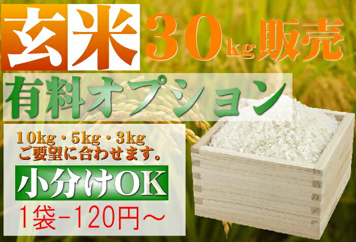 小袋分け玄米30kg販売シリーズ【有料オプション】