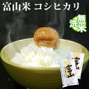 新米 無洗米 10kg 送料無料 コシヒカリ 5kg×2袋 ...