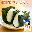 米 白米 5kg コシヒカリ 愛知県産 令和元年産 コシヒカリ お米 5キロ 安い あす楽 送料無料【沖縄、配送不可】
