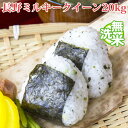 無洗米 20kg 送料無料 ミルキークイーン 5kg×4袋 長野県産 令和元年産 1等米 ミルキークイーン お米 20キロ 安い 送料無料 沖縄配送不可