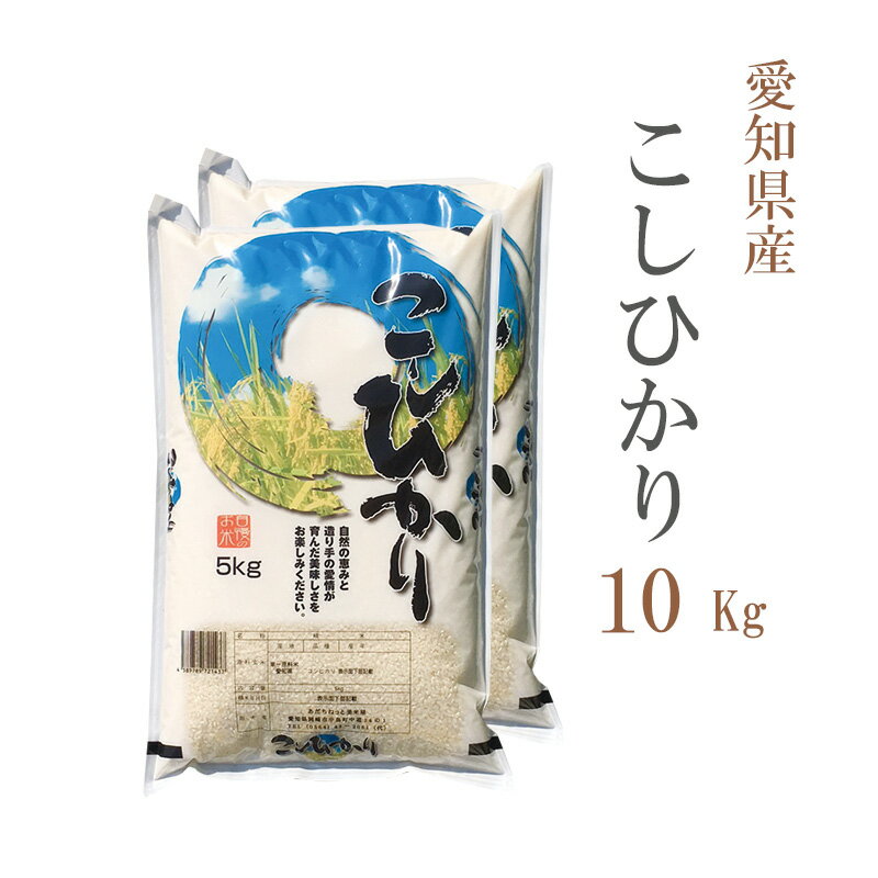 米 白米 10kg 送料無料 コシヒカリ 5kg×2袋 愛知県産 令和3年産 コシヒカリ お米 10キロ 安い あす楽 送料無料【沖縄、配送不可】