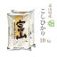 無洗米 10kg 送料無料 コシヒカリ 5kg×2袋 富山県産 令和4年産 1等米 コシヒカリ お米 10キロ 安い あす楽 送料無料 沖縄配送不可 5,398円