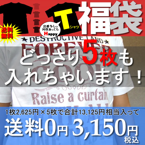 ■□■送料無料■□■何枚あっても使える♪インでも1枚でもOK!「夏が来る！主役Tシャツ」どっさり5枚もつめ込んで3,150円★メンズTシャツ福袋★【今がチャンス！幻の特別再販】【48時間限定】楽天カード会員限定メンズDAY ポイント3倍 楽天カード決済ならポイント4倍！※要エ