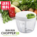 【10/5 1時59分までスマホエントリP10 】【 送料無料 】ぶんぶんチョッパー ( デラックス ) bunbun 【 DX みじん切り器 手動式 700ml あす楽対応 】【 アドキッチン 】