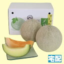 【2011年お中元特集 送料無料!】庄内メロン(赤肉&青肉)セット【包装】(7025-023)
