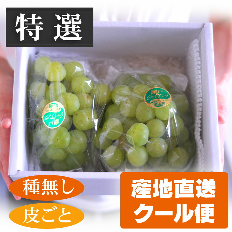 【岡山産地直送！種無し皮ごと食べられる】特選！瀬戸ジャイアンツ1.5kg箱　2房入り