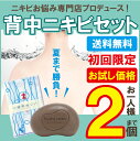 《メール便送料無料》背中ニキビ ボディ アトピー皮膚炎 乾燥のかゆみ あせも 汗荒れに【背中ニキビ】お試しセット(定価3800円税抜)