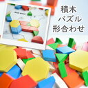 室内遊び 部屋遊び ASパターンブロック 250ピース 知育...
