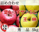 葉とらずサンふじ・王林(おうりん)