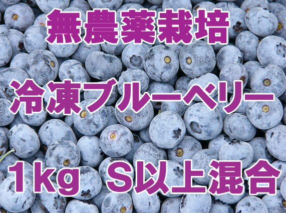 【送料無料】無農薬栽培完熟ブルーベリーを凍らせた冷凍ブルーベリー 1kg