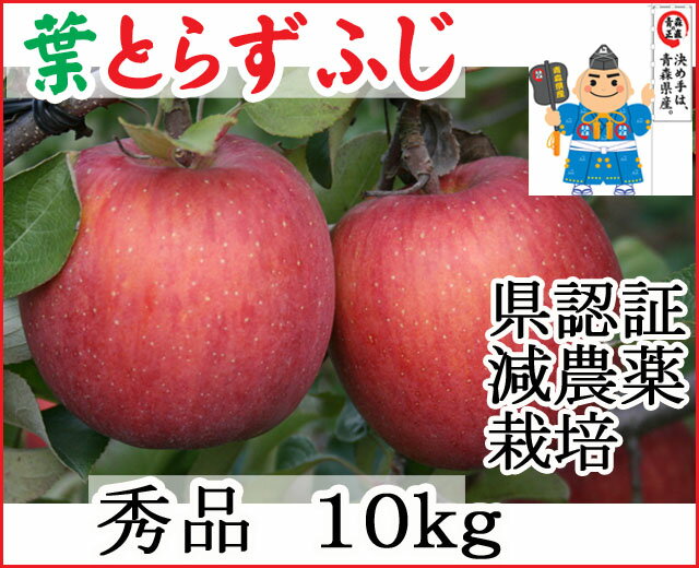 Ŀ󤴡ۡ20offդȤ餺̣ǻդȤ餺դʡ10kg70︺Ǻݤ󥴤Ǥڸݡǧͭ