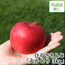 送料無料 ひろさきふじ(早生ふじ) 丸かじり 約3kg 県認証無し 小さめ 青森県産りんご