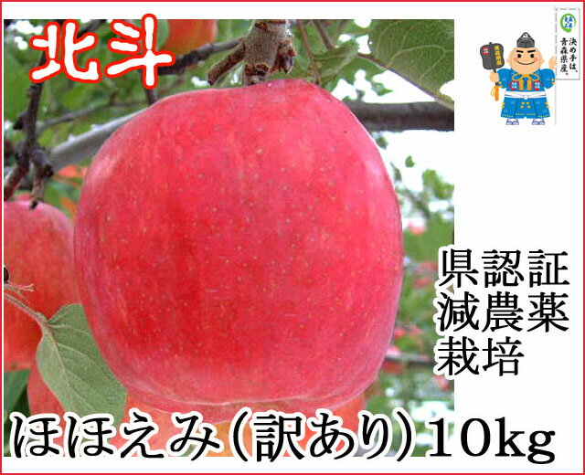 青森 りんご 減農薬 訳あり【北斗 10kg ほほえみ】パリっとした果肉で甘酸のバランスも良好ジューシ