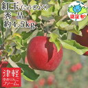 送料無料 紅玉 こうぎょく 秀品 約4.5kg(20-23玉) 県認証有り お手軽 減農薬栽培 特別栽培農産物認証 国産 認有り 青森県産りんご ※沖縄・離島:送料1000円+税