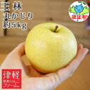 【お歳暮】送料無料 王林 おうりん 丸かじり 約5kg 認証有り 小さめサイズ 特別栽培農産物 国産 ※沖縄・離島:送料1100円