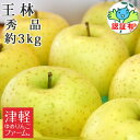 送料無料 王林 おうりん 秀品 約3kg 県認証有り 青森県産りんご 贈答用 特別栽培農産物 贈答用・ギフト ※沖縄・離島:送料1000円+税
