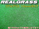 RealGrassリアルグラス〜上質芝高10mmの人工芝ワイドな2m幅