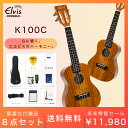 ELVIS エルビス ウクレレ コンサートサイズ ハワイアンコア材 スロテッドヘッド K100C