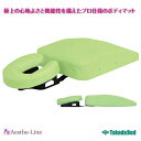 【高田ベッド】【期間限定Medi_fo特価2019年5月6日(月)迄 特注品は対象外】 ボディ