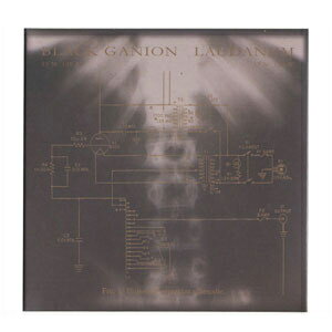 BLACK GANION + LAUDANUM / Ultrasonic generator schematic