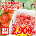 【26％OFF!!】【送料無料】北海道増毛町千果園産さくらんぼ★水門【バラ詰め】　Lサイズ以上　500g×2パック入　※お届け日のご指定はできません！