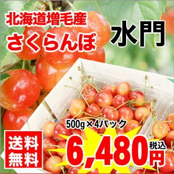 【26％OFF!!】【送料無料】北海道増毛町千果園産さくらんぼ★水門【バラ詰め】　Lサイズ以上　500g×4パック入　※お届け日のご指定はできません！北海道増毛町千果園産さくらんぼ【水門】が送料無料特別価格★産地直送いたします♪