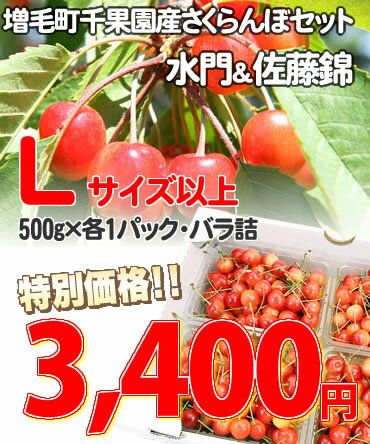 【30％OFF!!】【送料無料】北海道増毛町千果園産さくらんぼ★佐藤錦＆水門【バラ詰め】　Lサイズ以上　500g×各1パック入　※7月中旬頃のお届けとなります。