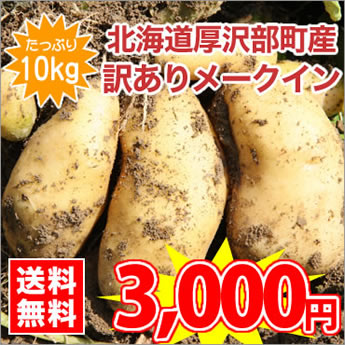 【50％OFF!!】【送料無料】【規格外品】北海道厚沢部町産訳ありじゃがいも（メークイン）【SS−LLサイズ混合】 10kg入　※10月中旬〜下旬頃のお届けとなります！