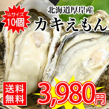 【送料無料】北海道厚岸からブランド牡蠣をお届け！北海道厚岸産殻付牡蠣（カキえもん） / LLサイズ / 10個入