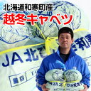 数量限定 甘くてシャキシャキ感抜群 北海道和寒町産 元祖越冬キャベツ 10Kg入 数量限定 甘くてシャキシャキ感抜群 北海道和寒町産 元祖越冬キャベツ 10Kg入