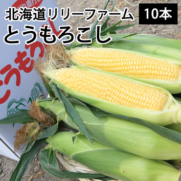 【40%OFF!!】【送料無料】北海道名寄産とうもろこし★ゴールドラッシュ（5kg前後入・10〜12本入）　※収穫後随時お届けとなります。