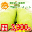 【送料無料】北海道増毛町産洋梨★パートレット【20個入/5kg前後】 ※お届け日の指定不可!お届けは9月下旬頃を予定しています。