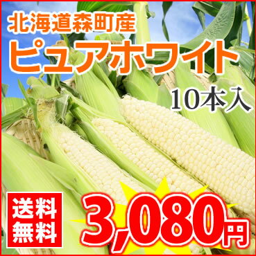 【42%OFF!!】【送料無料】北海道産★大人気！真っ白なとうもろこし「ピュアホワイト」【M〜Lサイズ】10本入　※お届け日の指定不可！収穫後のお届けとなります。