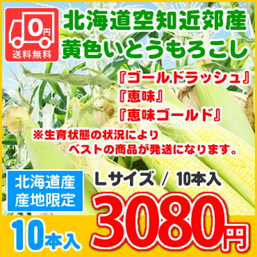 【42％OFF!!】【送料無料】北海道長沼町産★とうもろこし「ゴールドラッシュ」【Lサイズ】10本入　※商品のお届けは8月下旬以降になります。【smtb-TK】【42％OFF＆送料無料】北海道長沼町産★とうもろこし「ゴールドラッシュ」が送料無料でビックリ価格！朝採り産地直送いたします♪