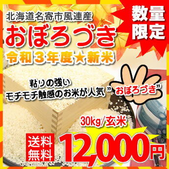 送料無料】北海道名寄市風連産★令和2年度　おぼろづき/玄米30kg