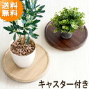 平台 キャスター付き プランタースタンド 植木鉢台 キャスター台 鉢皿 観葉植物 北欧 おしゃれ マルチボード 完成品 マルチスタンド トレーノ MST-300