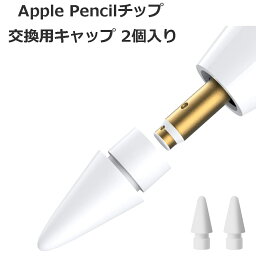 Apple Pencil チップ 替え芯 【2個目300円offクーポン】 <strong>ペン先</strong> ASP01 v 2 ASP08 ASP09対応 iPad/iPad Pro/iPad Mini 交換用 ホワイト 2個入りappleペンシル ペンチップ 交換用ペン芯A ポイント消化 アジェンスターThePen ASP01